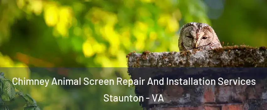  Chimney Animal Screen Repair And Installation Services Staunton - VA