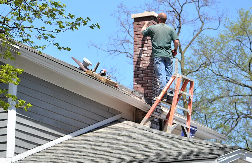Chimney & Fireplace Inspections Services in Staunton, VA