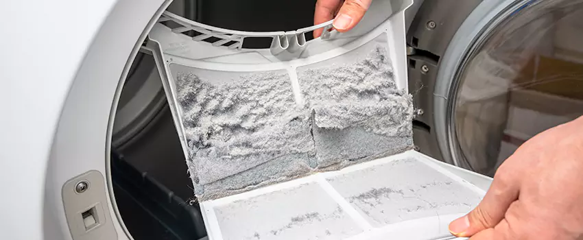 Best Dryer Lint Removal Company in Staunton, Virginia