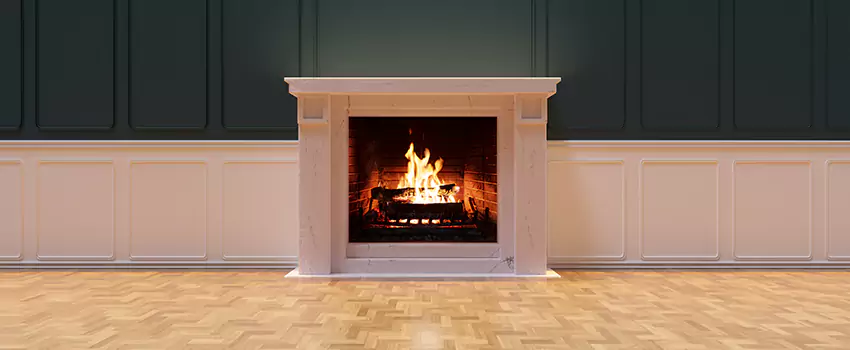 Napoleon Electric Fireplaces Inspection Service in Staunton, Virginia