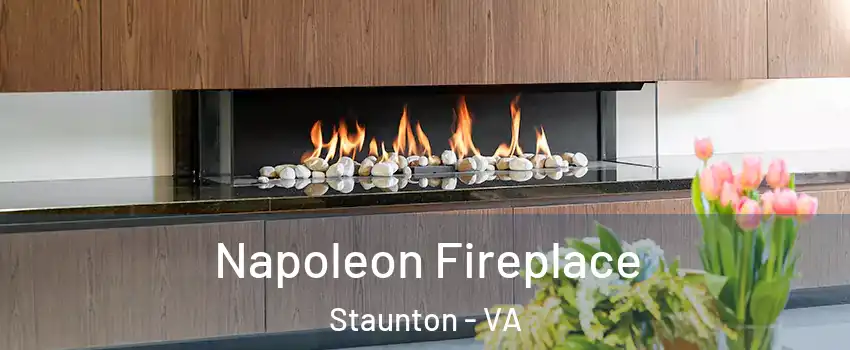  Napoleon Fireplace Staunton - VA